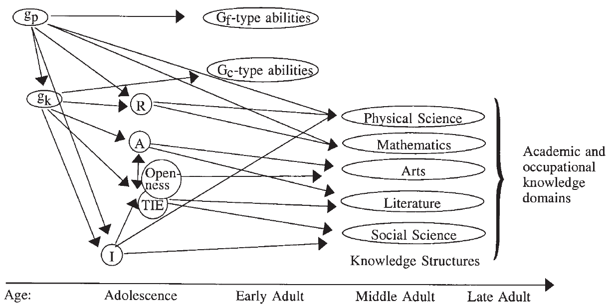 Ackerman's PPIK theory of intelligence as Process, Personality, Interests, and intelligence as Knowledge illustrates the course of self-care, which, in marriage, makes partners more happy, well, positive, and connected