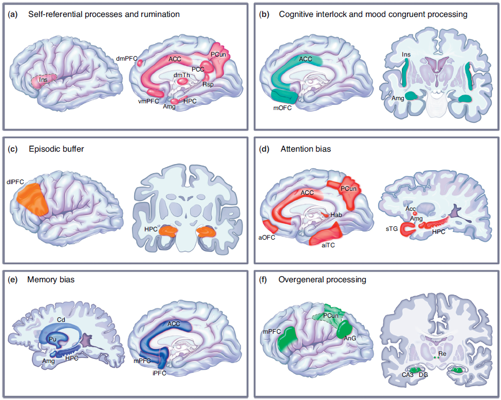 Brain networks involved in various cognitive functions of cognitive therapy neural networks