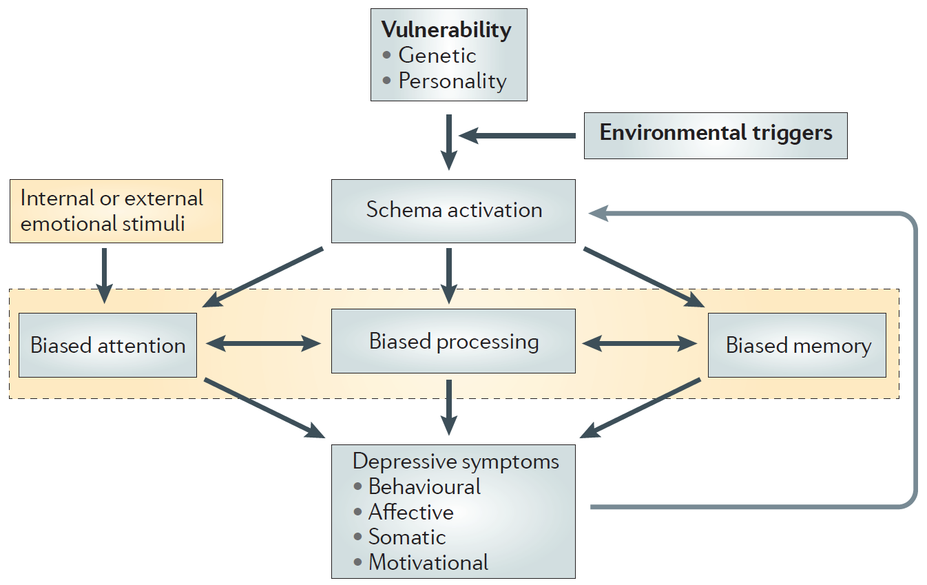 Information processing in the cognitive model of depression illustrates cognitive therapy neural networks, showing feedback loops