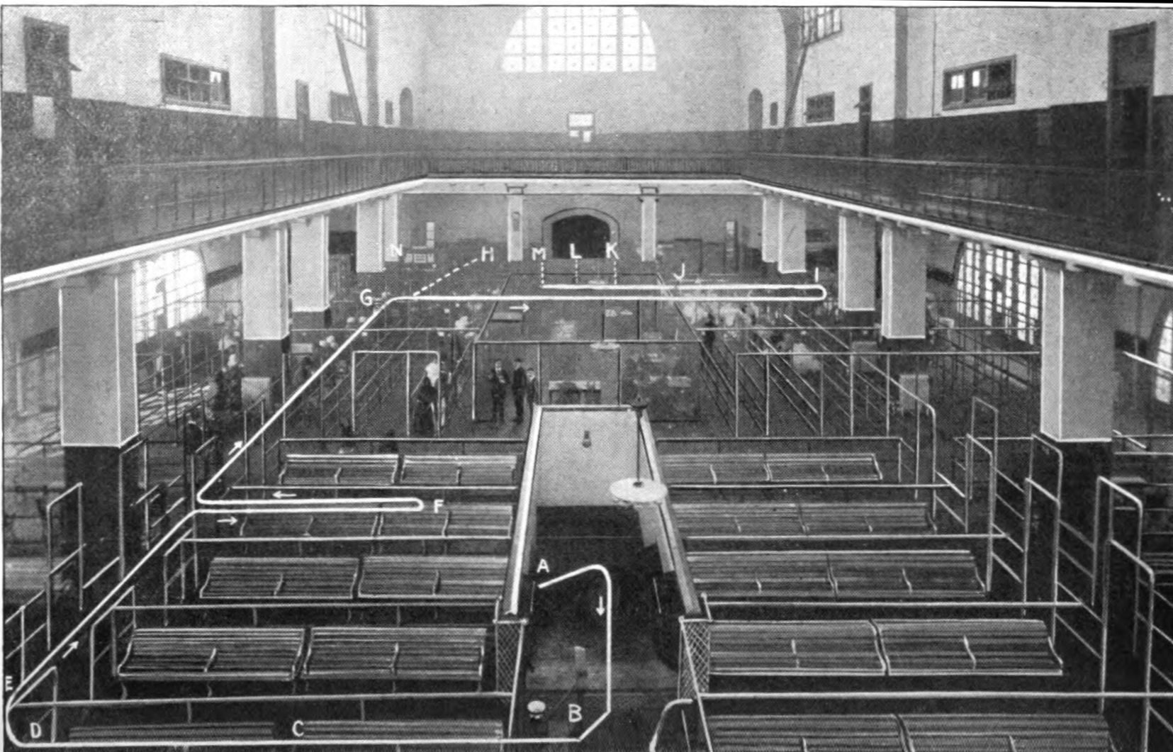 The Immigrant's Track Through Ellis Island